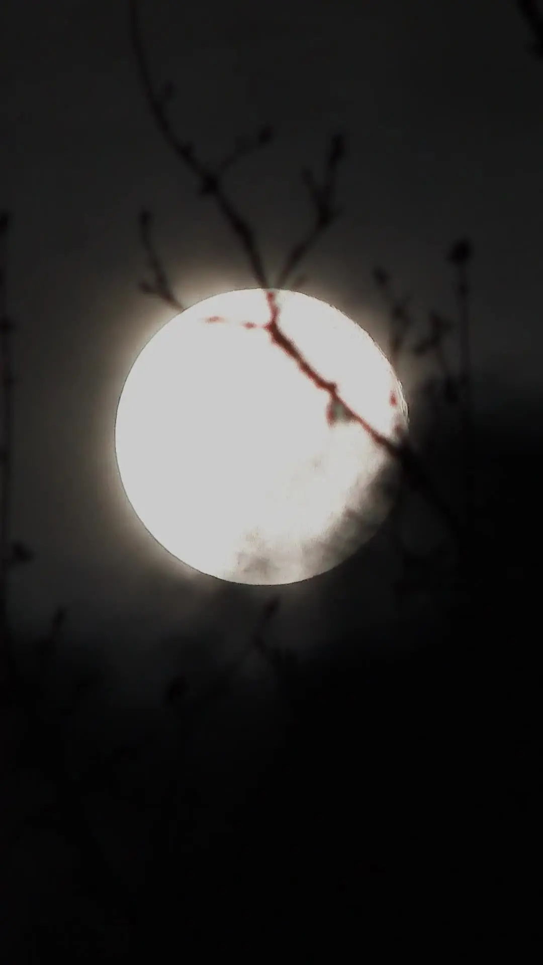 Episodio 28 de Marcada por el Alfa que odio