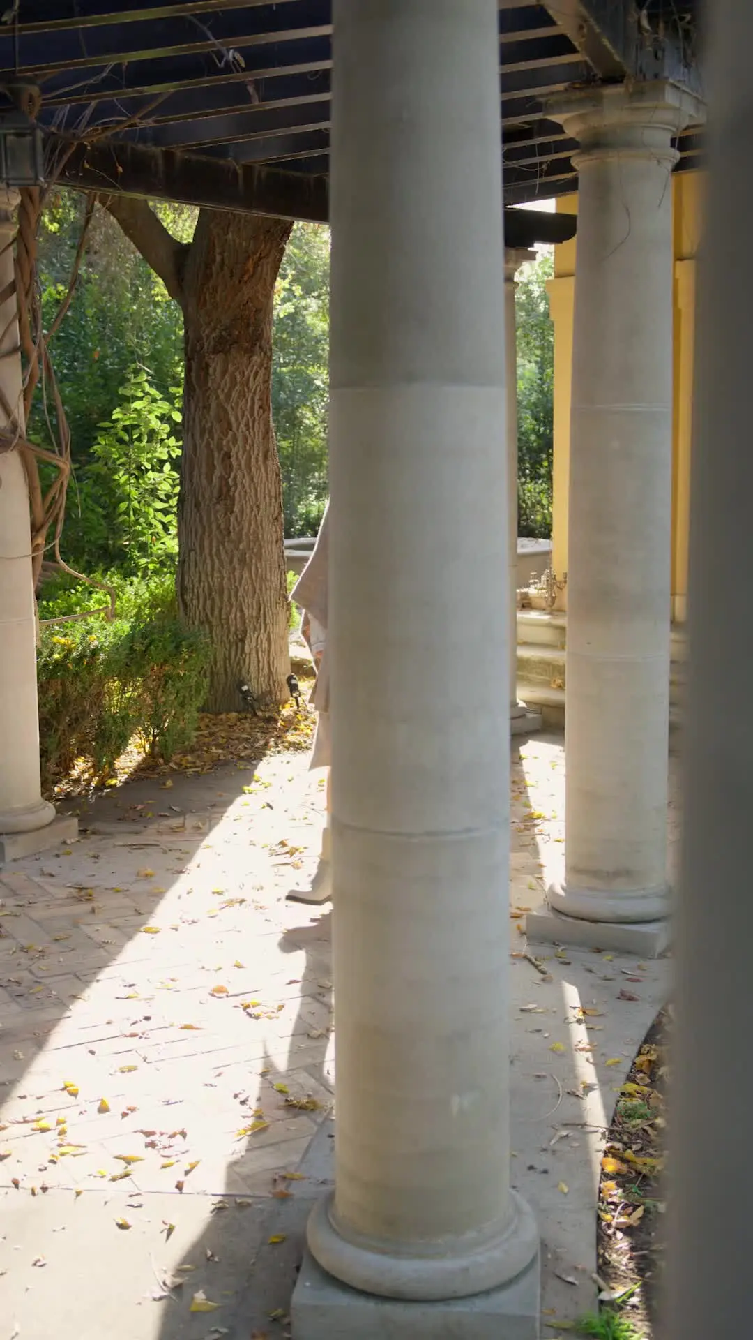 Episodio 9 de Marcada por el Alfa que odio
