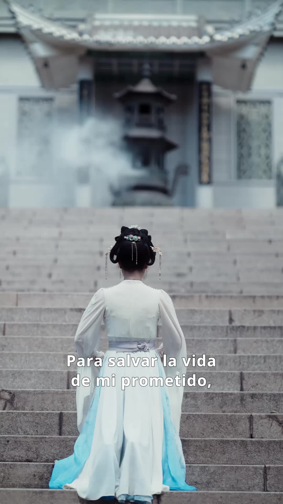 Episodio 1 de Me divorcié de mi esposo por el canciller