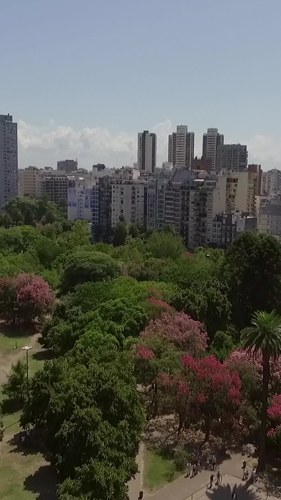 Episodio 65 de Me enamoré de un granjero y papá soltero