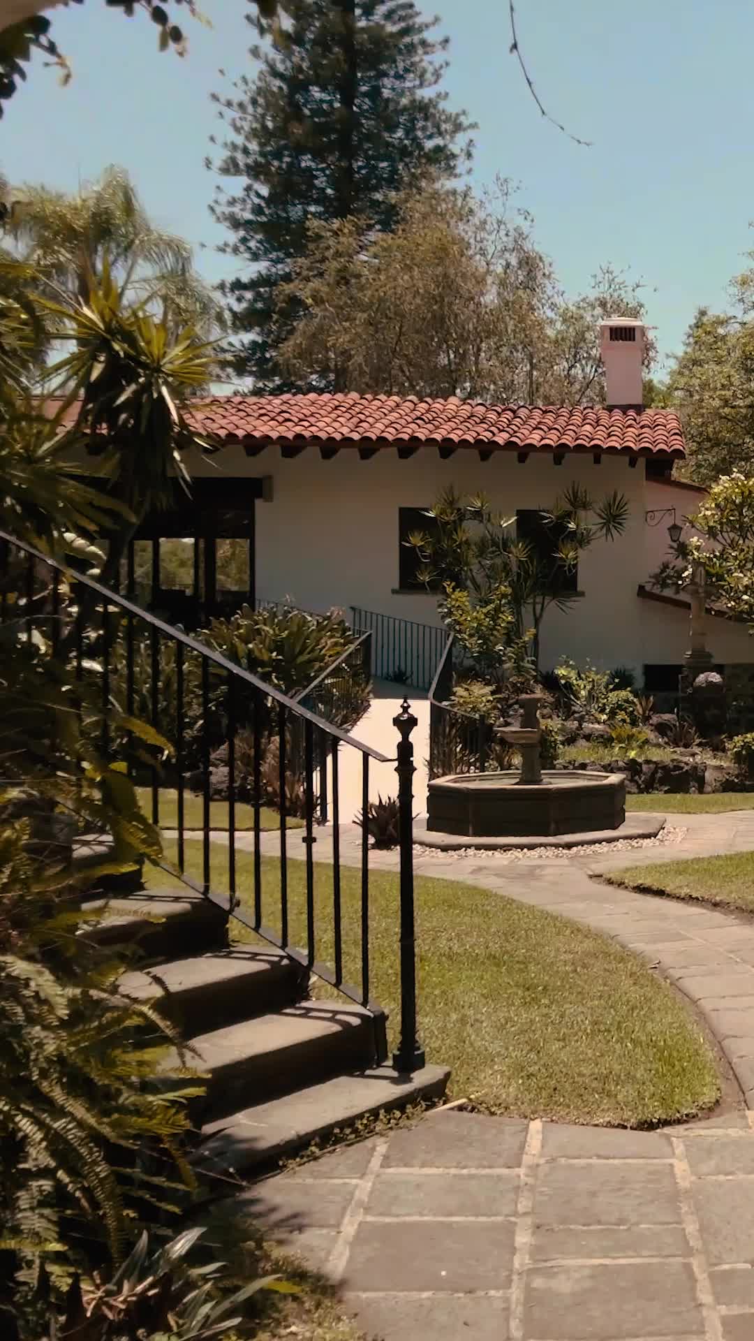 Episodio 50 de Me fui embarazada de ti