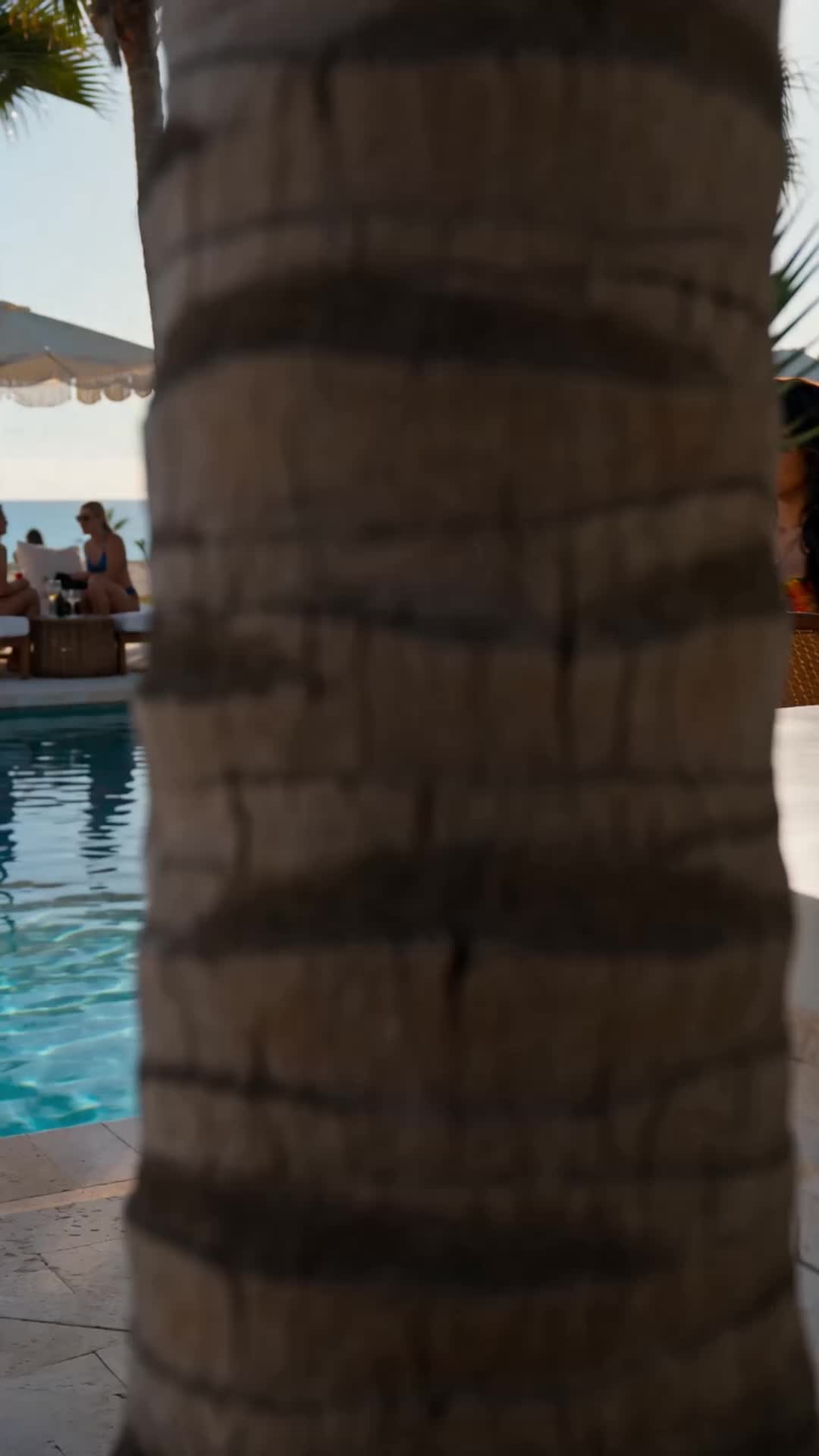 Episodio 15 de Mi amor de rebote