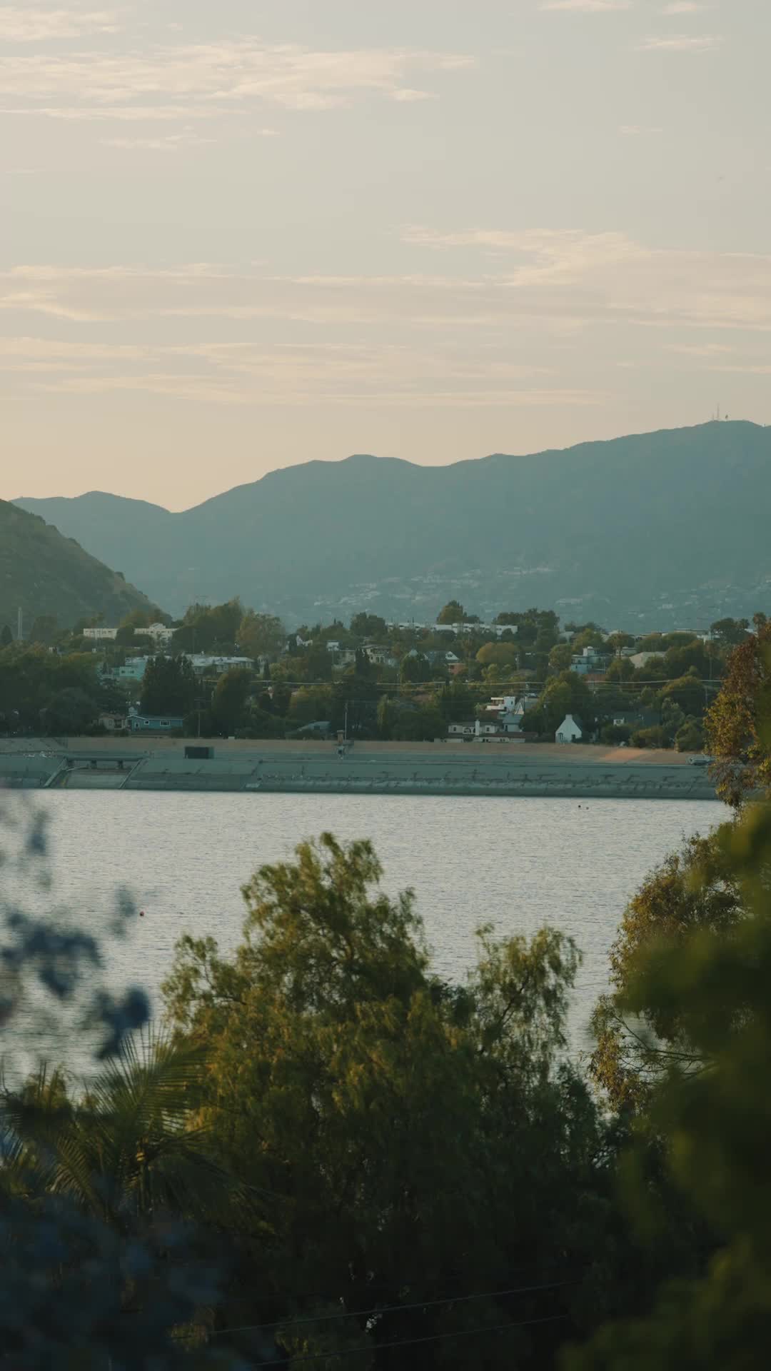 Episodio 21 de Mi Jefe de la Mafia Amoroso