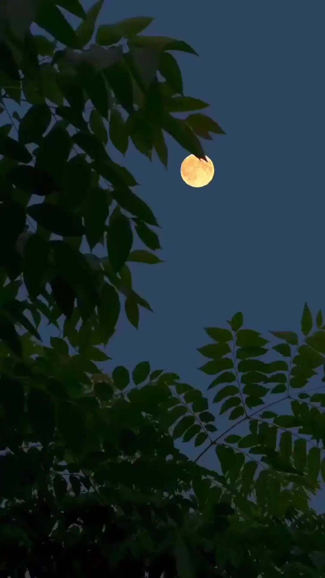 Episodio 2 de Mi Ritmo Eres Tú