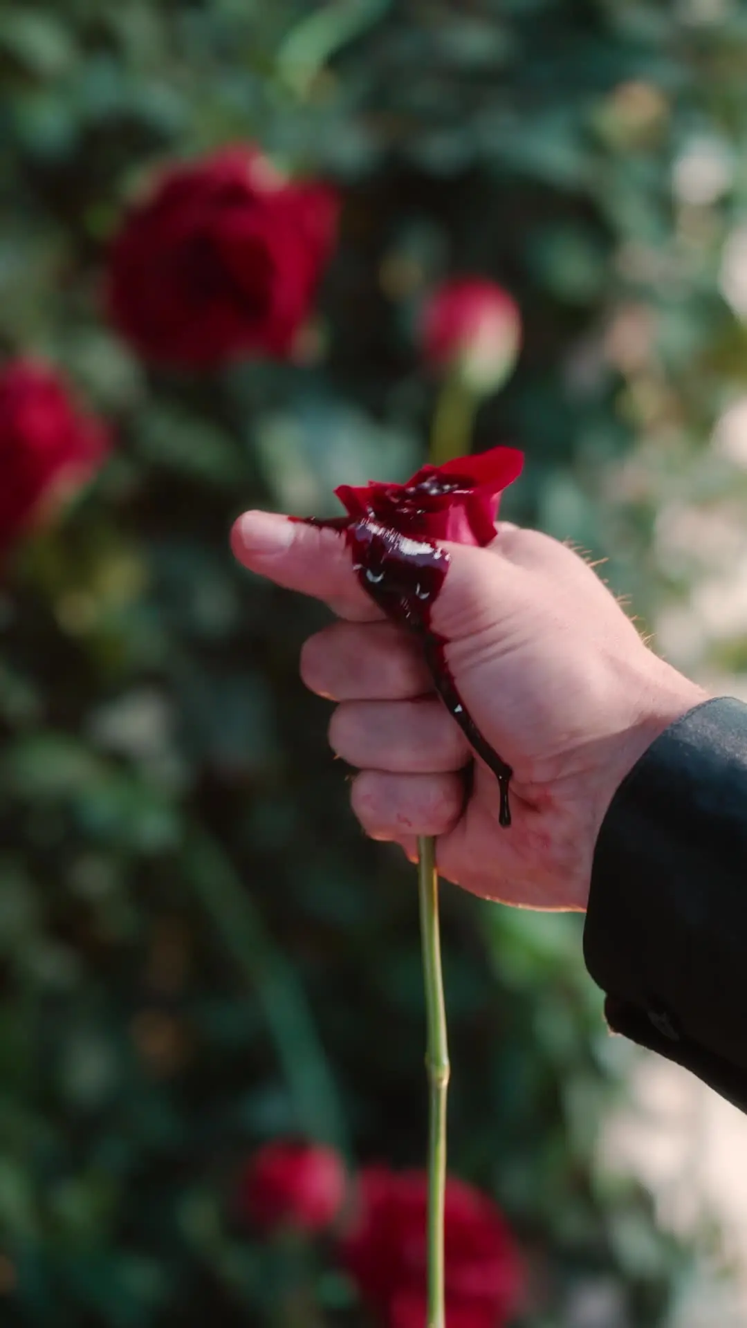 Episodio 4 de Mi Romeo siniestro