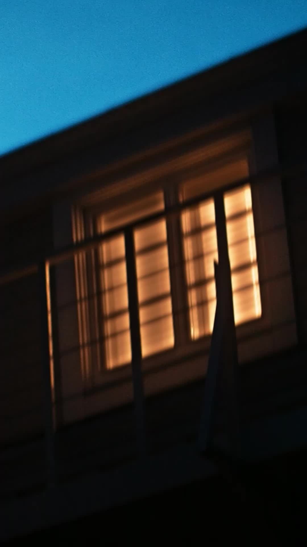 Episodio 21 de Papá mafioso y despiadado