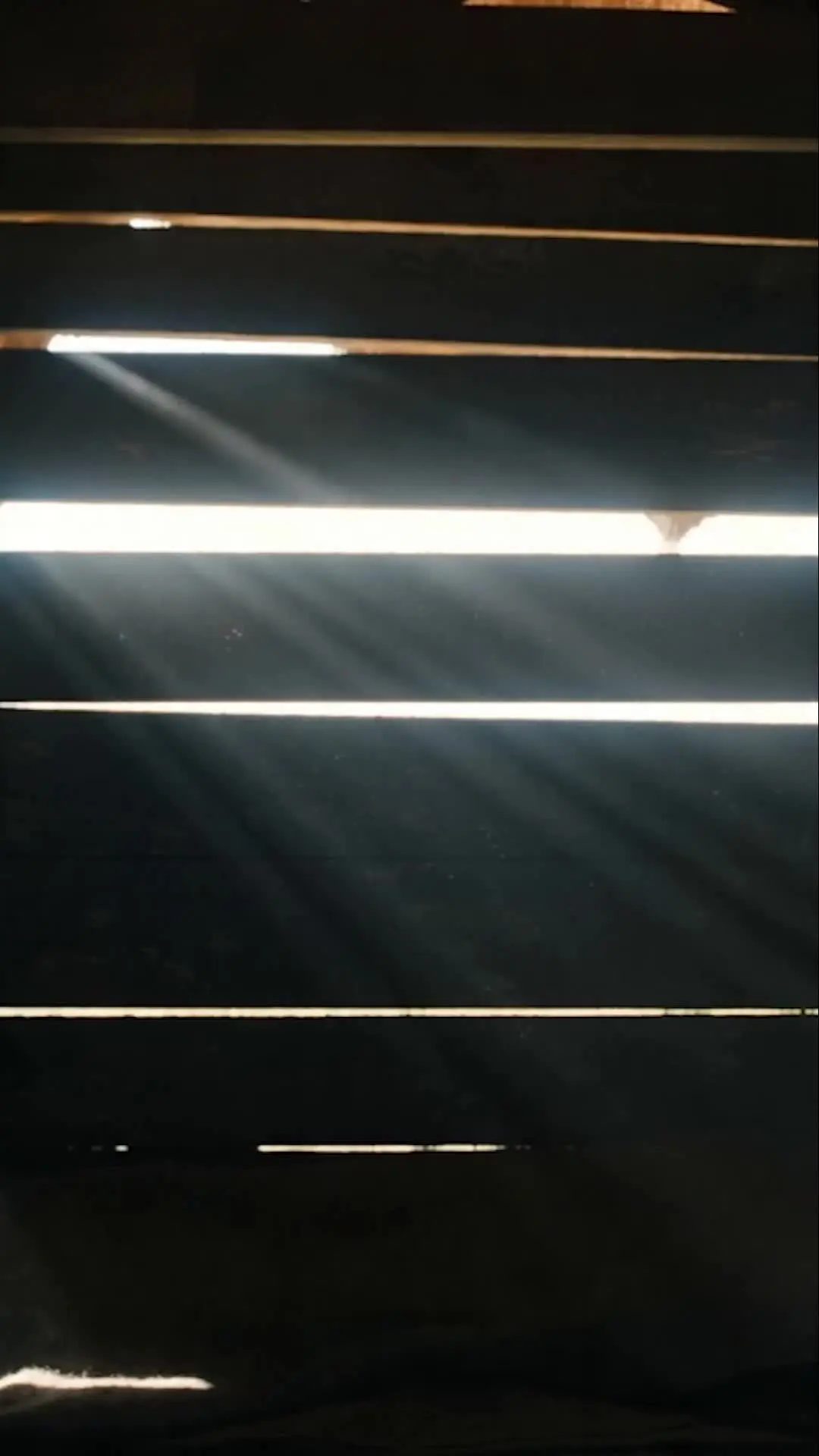 Episodio 12 de Prisión Star