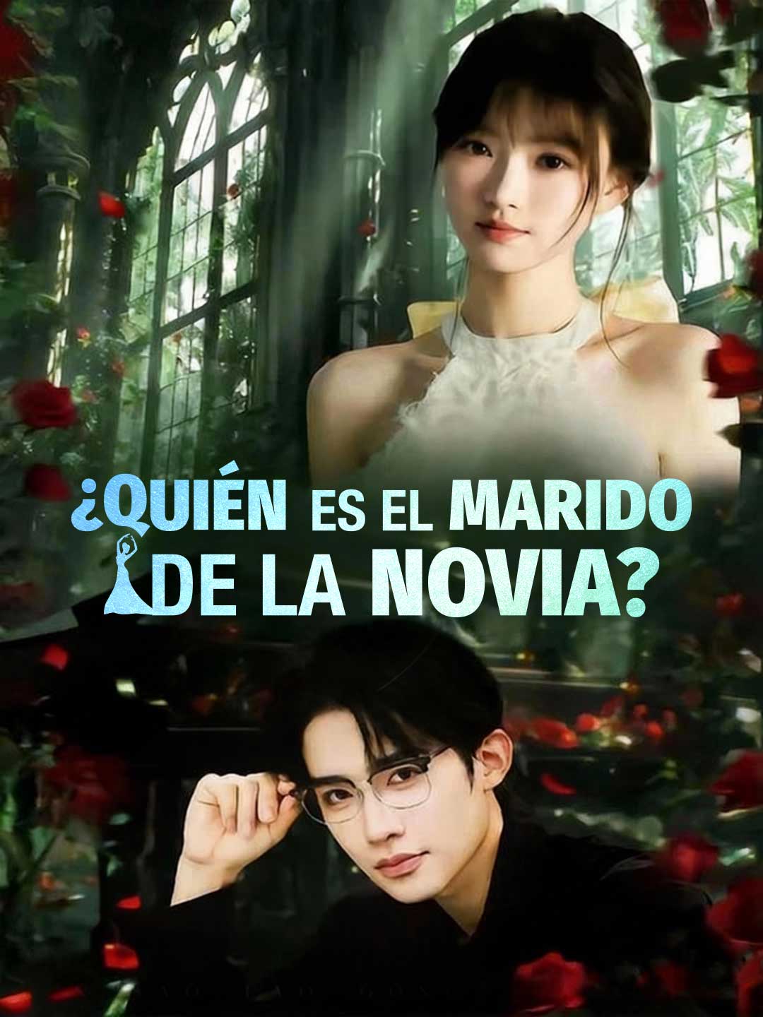 Portada de la miniserie ¿Quién es el marido de la novia?