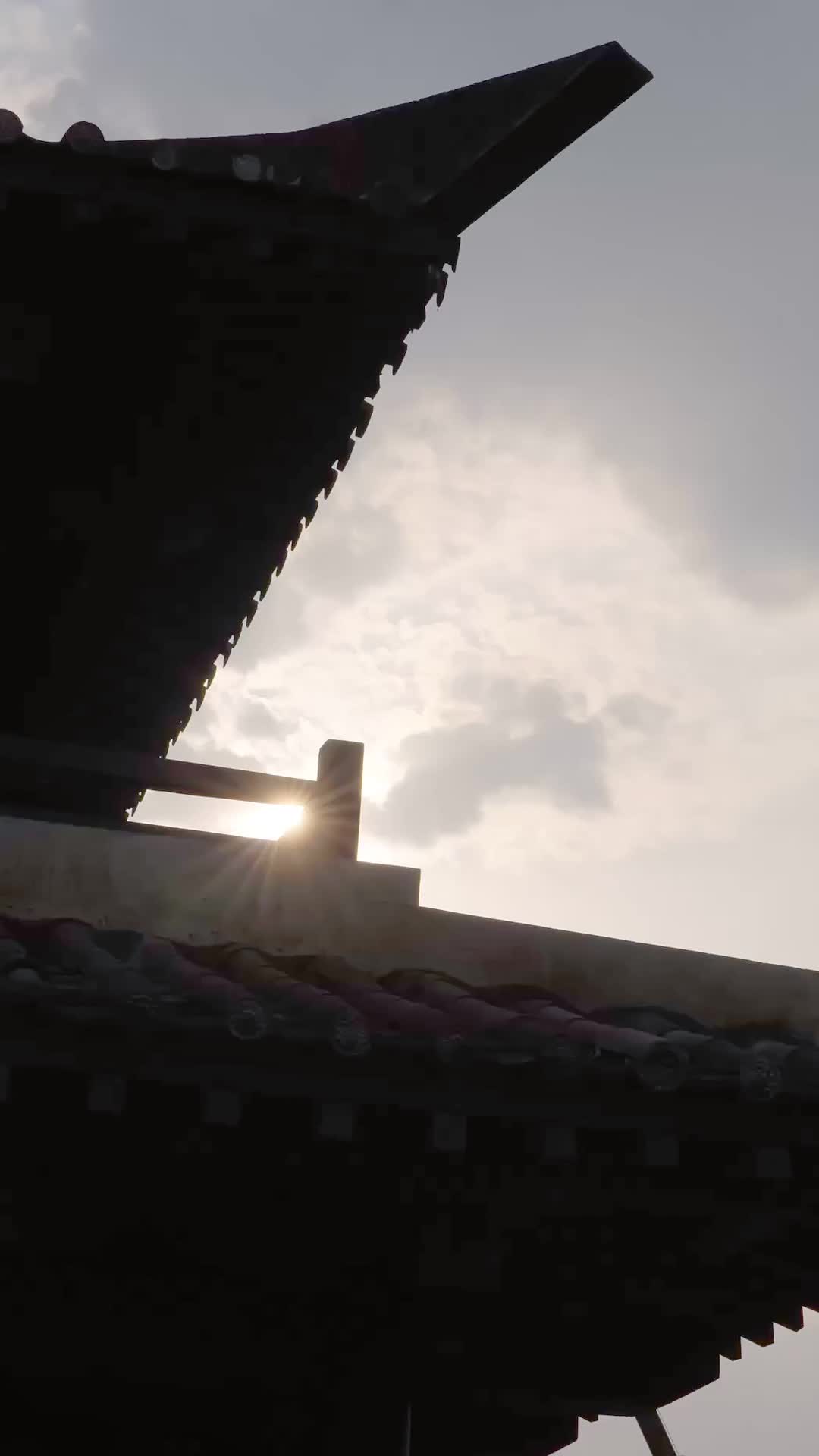 Episodio 15 de Su majestad es un cambiaformas
