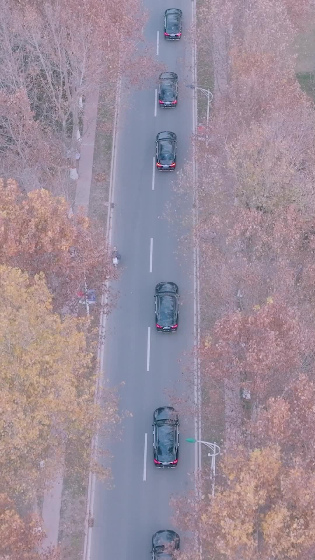 Episodio 75 de Supremacía sobre el cielo