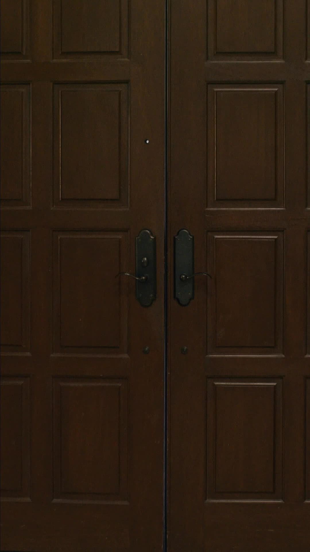 Episodio 71 de Sustituta Accidental para Alfa