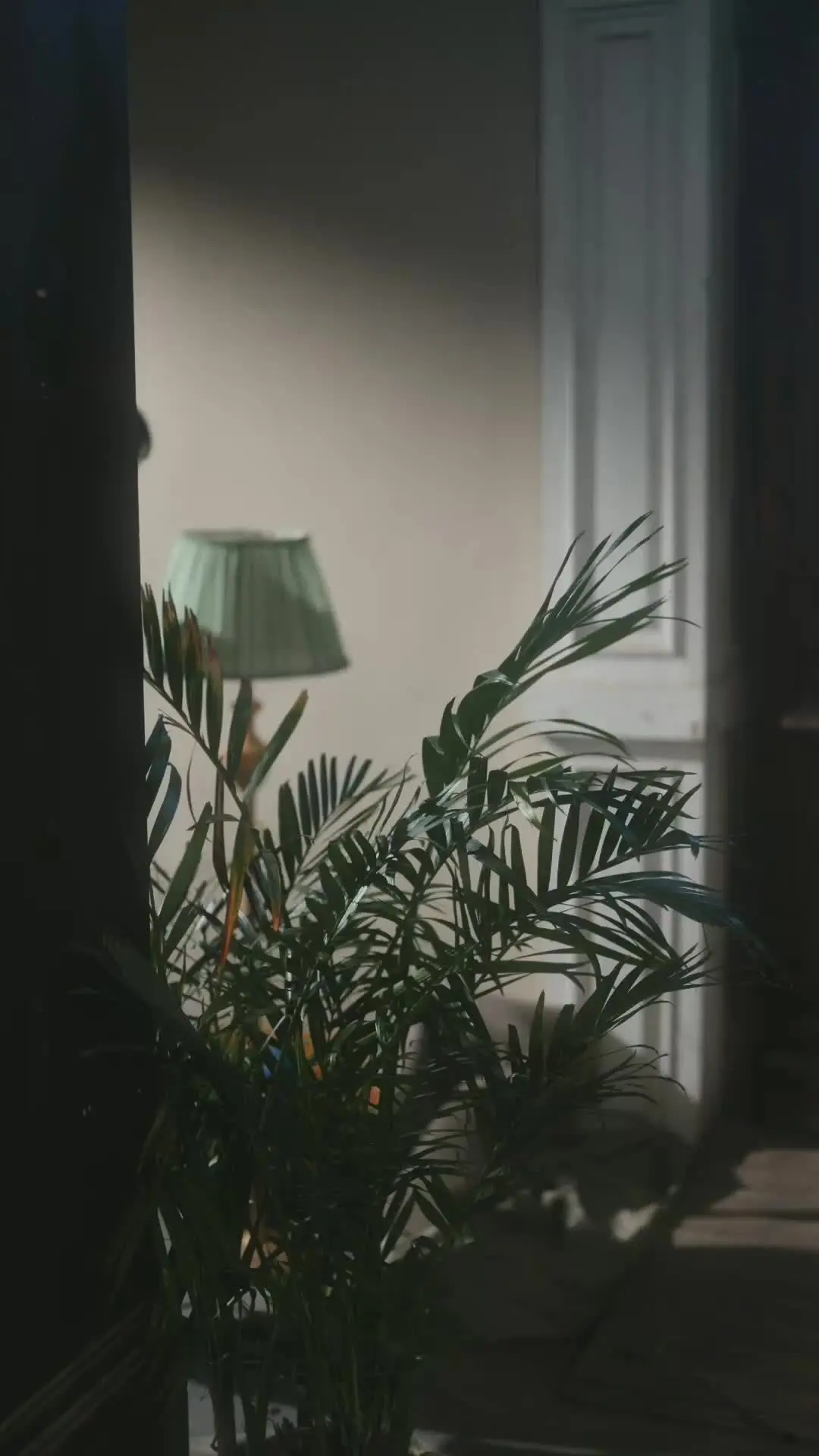 Episodio 20 de Te encontraré en cada vida