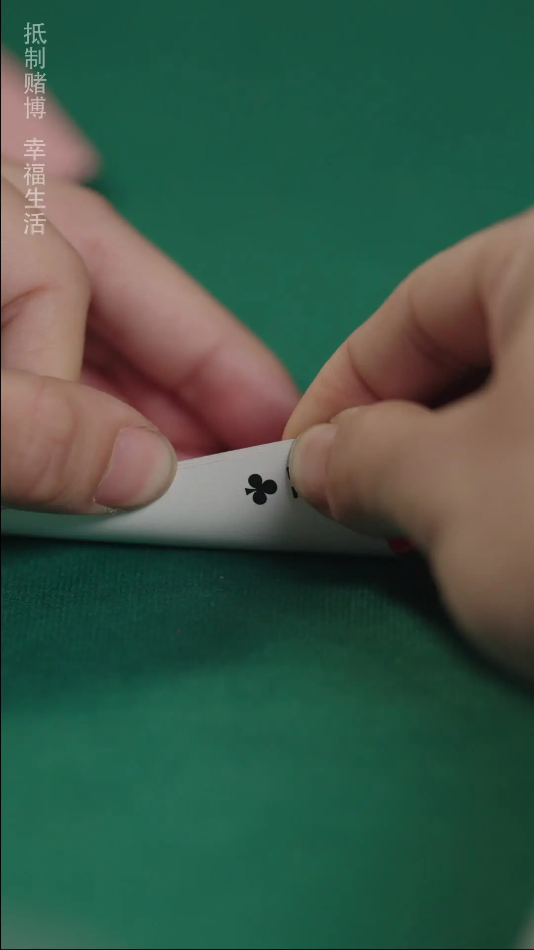 Episodio 12 de Tramposo de Casino