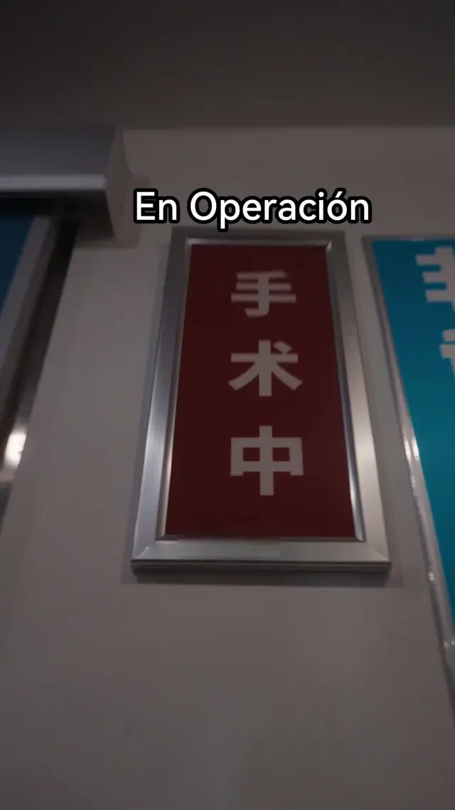 Episodio 1 de Un Amor Demasiado Tardío