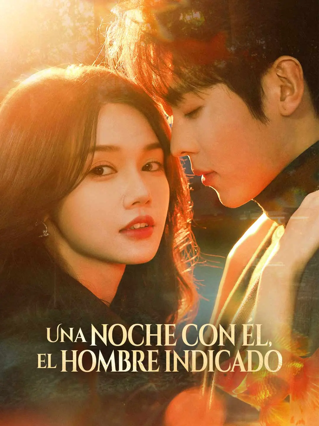 Portada de la miniserie Una noche con él, el hombre indicado