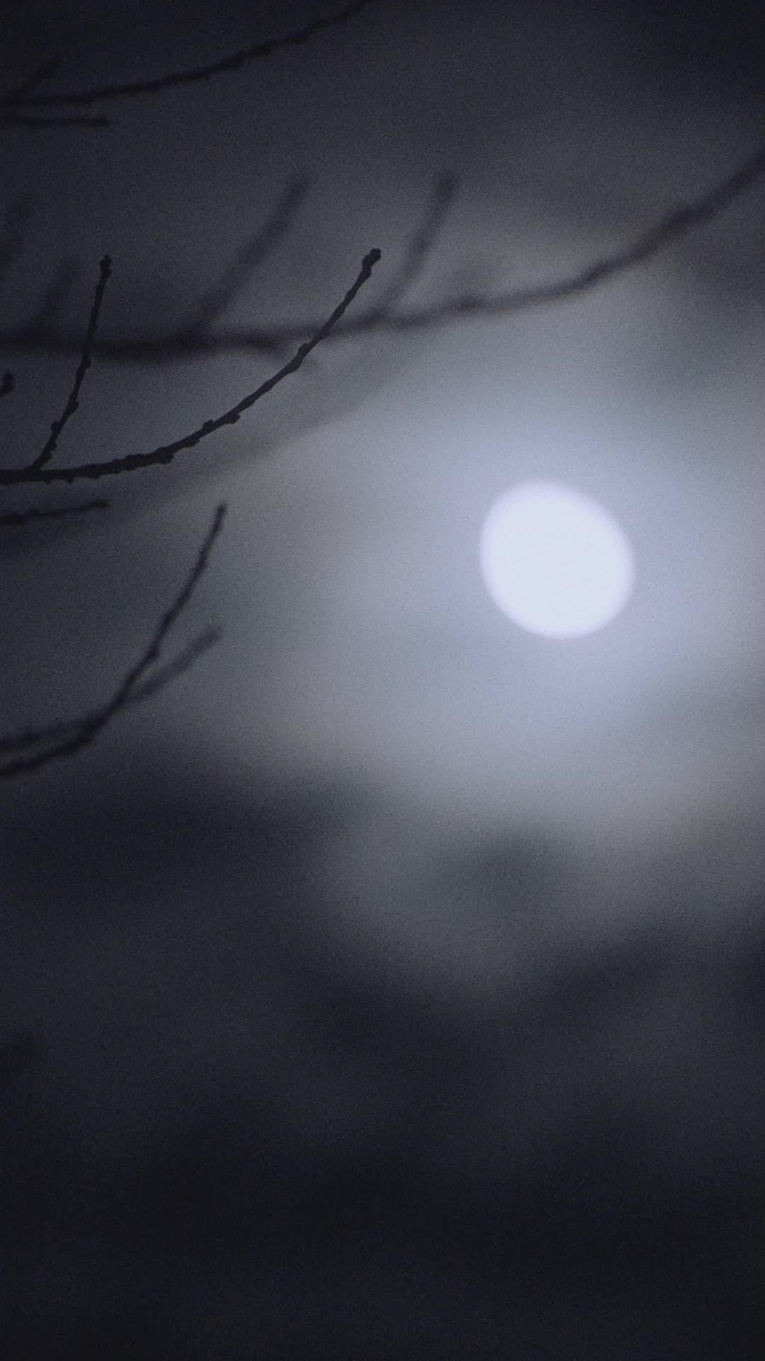 Episodio 34 de Verdadera luna