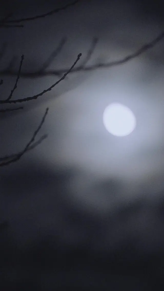 Episodio 34 de Verdadera luna