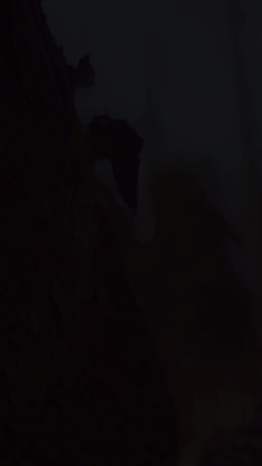 Episodio 1 de Ya no está dispuesto a perderla